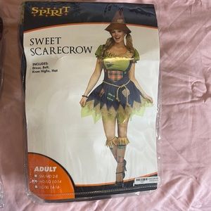 SPIRIT Adult Women Halloween Costume